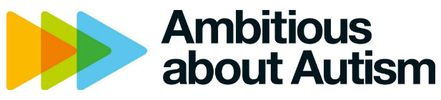 Ambitious about Autism